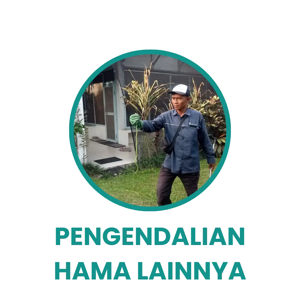 Lainnya