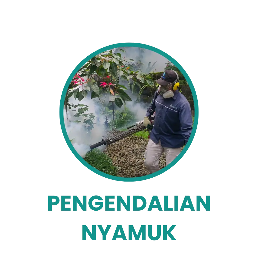 Nyamuk